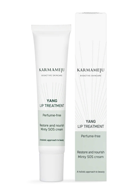 Karmameju Yang Lip Treatment 